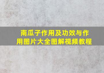 南瓜子作用及功效与作用图片大全图解视频教程