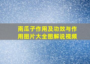 南瓜子作用及功效与作用图片大全图解说视频