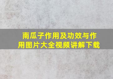 南瓜子作用及功效与作用图片大全视频讲解下载