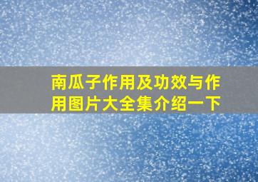 南瓜子作用及功效与作用图片大全集介绍一下