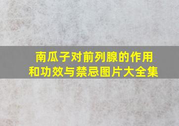 南瓜子对前列腺的作用和功效与禁忌图片大全集