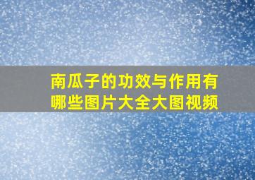 南瓜子的功效与作用有哪些图片大全大图视频