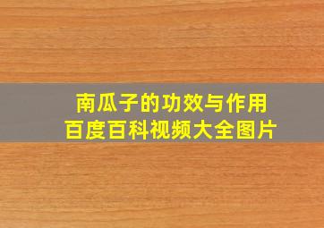 南瓜子的功效与作用百度百科视频大全图片