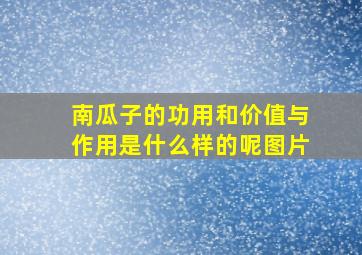 南瓜子的功用和价值与作用是什么样的呢图片