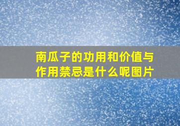 南瓜子的功用和价值与作用禁忌是什么呢图片