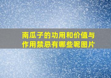 南瓜子的功用和价值与作用禁忌有哪些呢图片