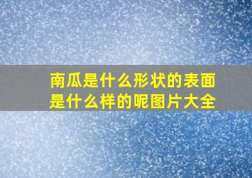 南瓜是什么形状的表面是什么样的呢图片大全