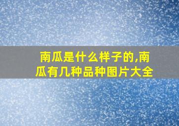 南瓜是什么样子的,南瓜有几种品种图片大全