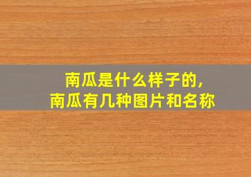 南瓜是什么样子的,南瓜有几种图片和名称