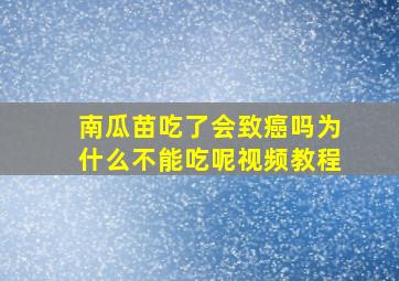 南瓜苗吃了会致癌吗为什么不能吃呢视频教程