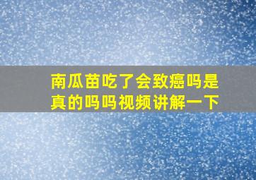 南瓜苗吃了会致癌吗是真的吗吗视频讲解一下