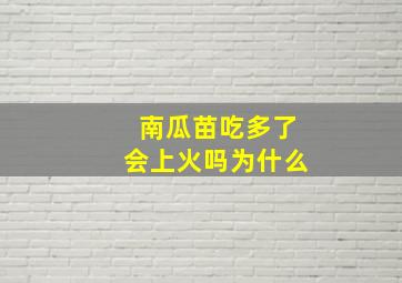 南瓜苗吃多了会上火吗为什么