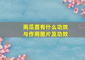 南瓜苗有什么功效与作用图片及功效