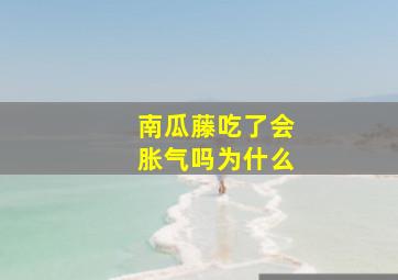 南瓜藤吃了会胀气吗为什么