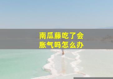 南瓜藤吃了会胀气吗怎么办