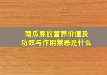 南瓜藤的营养价值及功效与作用禁忌是什么