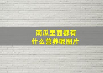 南瓜里面都有什么营养呢图片