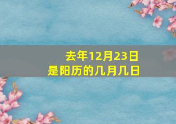 去年12月23日是阳历的几月几日