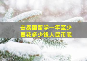 去泰国留学一年至少要花多少钱人民币呢