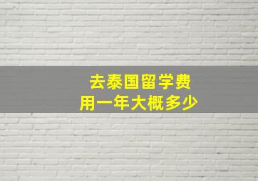 去泰国留学费用一年大概多少