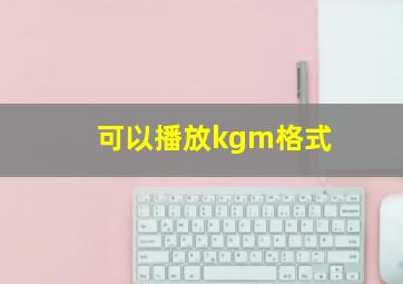 可以播放kgm格式