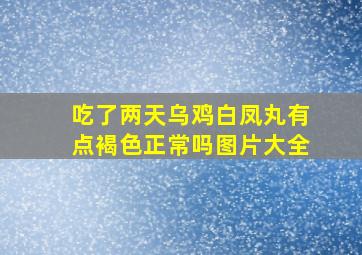 吃了两天乌鸡白凤丸有点褐色正常吗图片大全