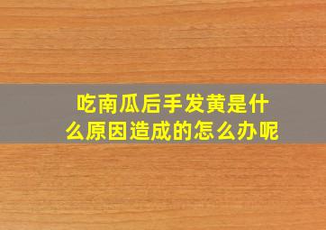 吃南瓜后手发黄是什么原因造成的怎么办呢