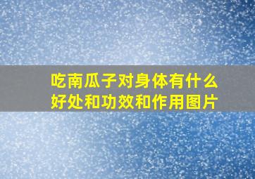 吃南瓜子对身体有什么好处和功效和作用图片