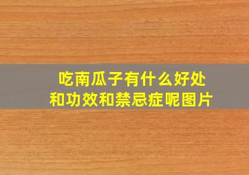 吃南瓜子有什么好处和功效和禁忌症呢图片