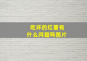 吃坏的红薯有什么问题吗图片