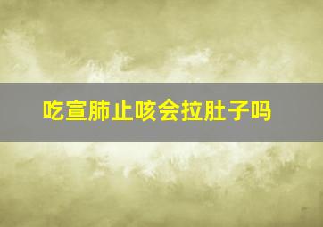 吃宣肺止咳会拉肚子吗