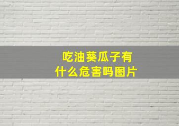 吃油葵瓜子有什么危害吗图片