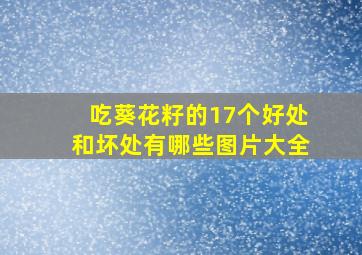 吃葵花籽的17个好处和坏处有哪些图片大全