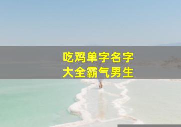 吃鸡单字名字大全霸气男生