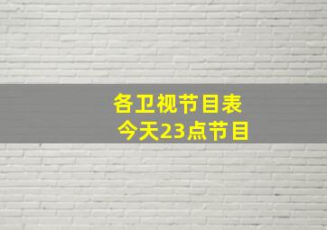 各卫视节目表今天23点节目