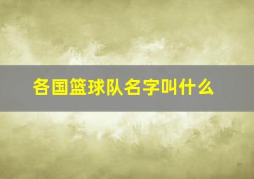 各国篮球队名字叫什么