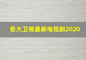 各大卫视最新电视剧2020