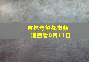 吉林守望都市频道回看8月11日