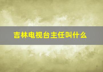 吉林电视台主任叫什么