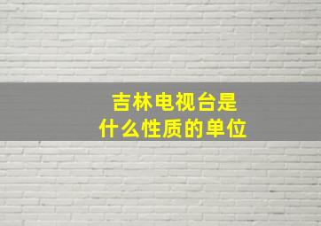 吉林电视台是什么性质的单位