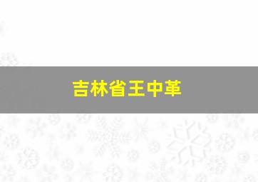 吉林省王中革