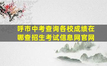 呼市中考查询各校成绩在哪查招生考试信息网官网