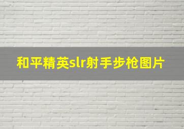 和平精英slr射手步枪图片