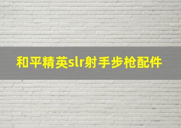 和平精英slr射手步枪配件