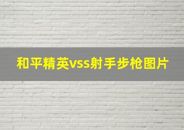 和平精英vss射手步枪图片