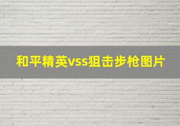 和平精英vss狙击步枪图片