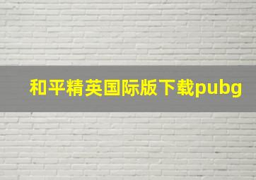 和平精英国际版下载pubg