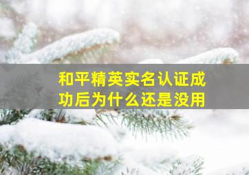 和平精英实名认证成功后为什么还是没用