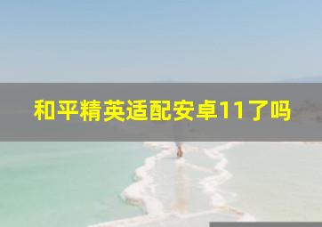 和平精英适配安卓11了吗