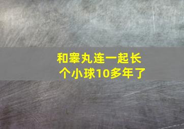 和睾丸连一起长个小球10多年了